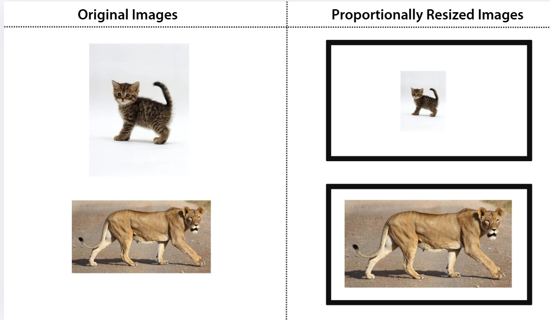 Comparison between original and proportionally resized images
